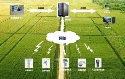 未來農業(yè)科技暢想曲 植物工廠、智慧農業(yè)與功能食品的技術交響